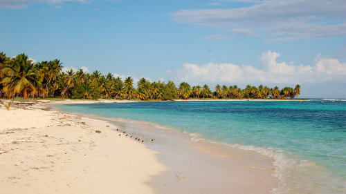 Full Day on Saona Island