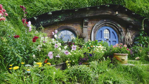 Full-Day Hobbiton™ Shire Movie Set Tour by Bush and Beach