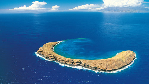 Molokini & Turtle Arches Snorkeling