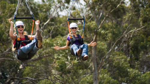 Piiholo Zipline Adventure