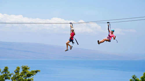 Zip & Dip 9-Zipline Adventure