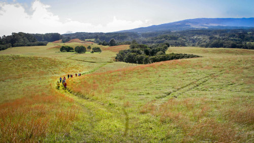 Piiholo Hiking Adventures