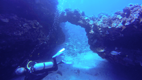 Lanai Cathedrals 2-Tank Dive