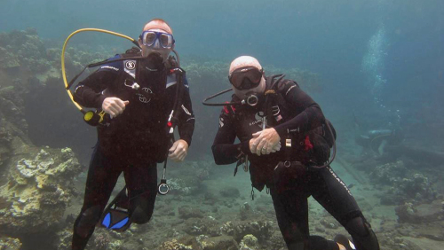 Mala Pier & West Maui 2-Tank Introductory or Certified Dives