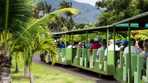 Plantation Tram Tour