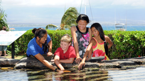 Maui Ocean Center Aquarium Admission