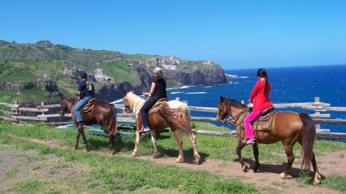 Oceanfront Horseback Trail Ride