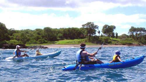 South Shore Kayak Trip with Snorkeling at Turtle Town