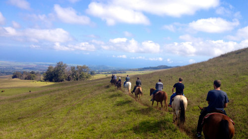 Paniolo Ride on the Haleakala Slopes