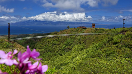 Kapalua Ridge Trek & Beach Adventure