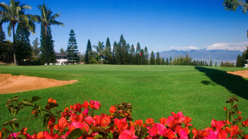 Golf at Pukalani Country Club
