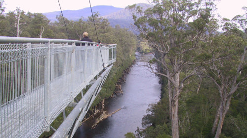 Huon Valley with Tahune Forest Airwalk Tour