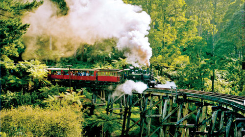 Half-Day Tour & Puffing Billy Steam Train Ride by AAT Kings