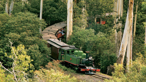 Puffing Billy & Dandedong Ranges Tour by Melbourne