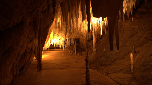 Full-Day Tahune Airwalk & Hastings Cave Tour by Tours Tasmania