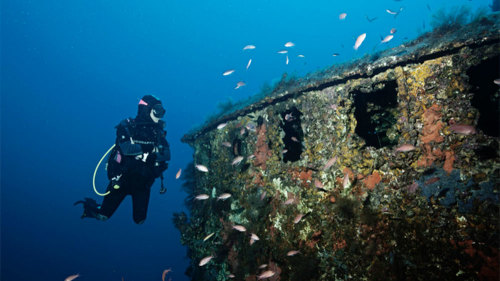 First-Time Scuba Dive off the Northern Coast by Trip4Real