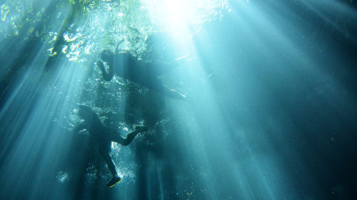 Small-Group Subterranean Snorkel Adventure Tour by Urban Adventures