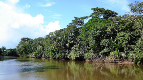 Palo Verde National Park & Tempisque River