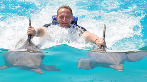 Dolphin Swim at Six Flags Amusement Park