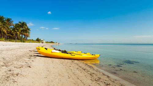 Kayak Rental