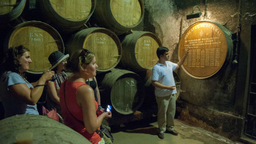 Private Arrábida Wine Full-Day Tour