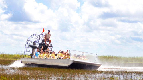 Everglades Adventure & Miami Boat Tour