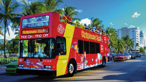 Hop-On Hop-Off Bus Tour by City Sightseeing