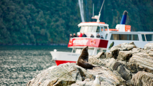 Milford Sound Flight & Cruise by Glacier Southern Lakes Helicopters