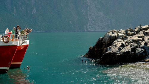 Milford Sound Discover More Cruise by Southern Discoveries