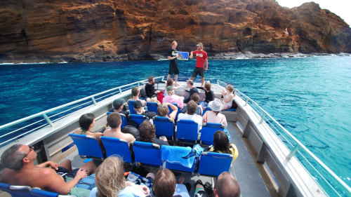 Molokini Wild Side Eco-Adventure