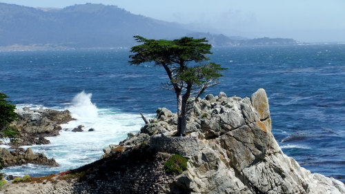 Pacific Coast Highway to Monterey & Carmel-by-the-Sea by Extranomical Adventures