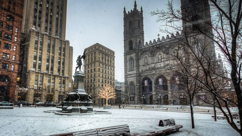 Grayline: Walking Tour of Old Montreal