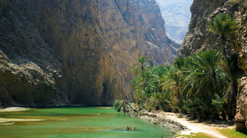 Coast of Oman 4x4 Full-Day Tour