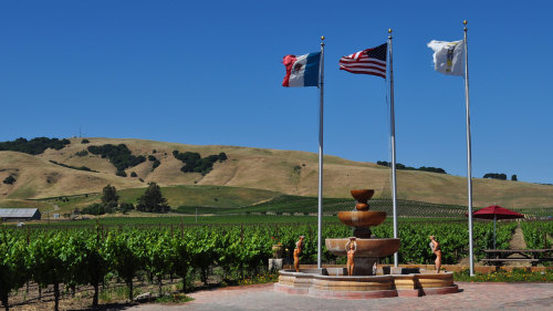 Wine Tour in Napa & Sonoma Valley by Green Dream Tours