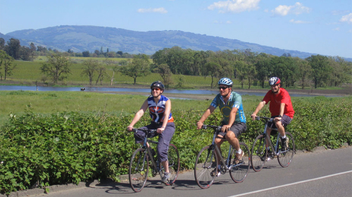 Napa Valley Pedal 