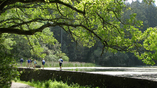 Guided Hike in Sonoma County with Picnic Lunch by Getaway Adventures