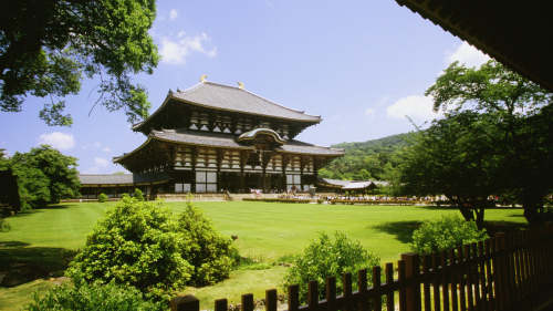 Nara Afternoon Tour