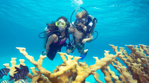 Discover Scuba Lesson & Dive