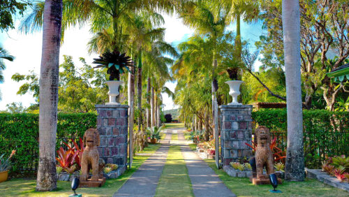 Nevis Island Guided Tour