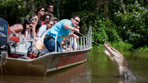 Honey Island Swamp Day Tour by Cajun Encounters