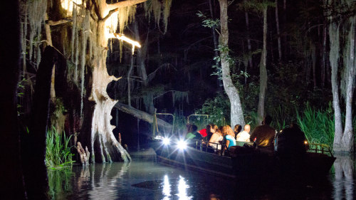 Honey Island Swamp Night Tour