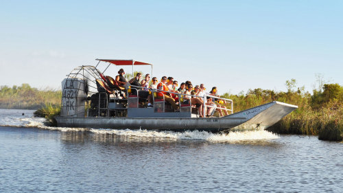 Jean Lafitte Airboat Experience