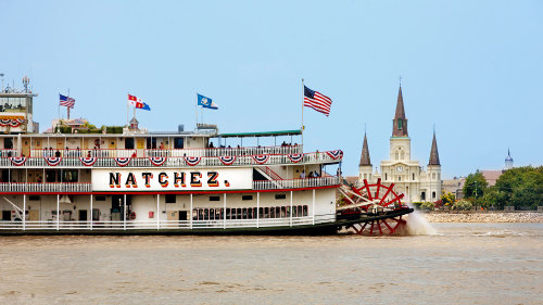 Gray Line New Orleans: Super City Paddle & Wheel Tour