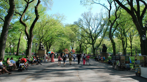 Central Park Walking Tour