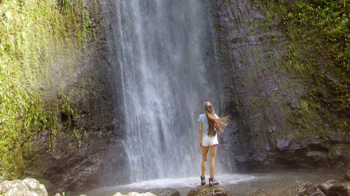Manoa Waterfall Hiking