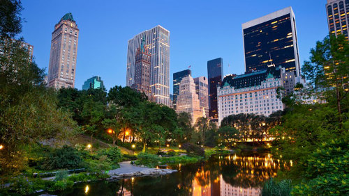 Central Park Bike Tour at Night