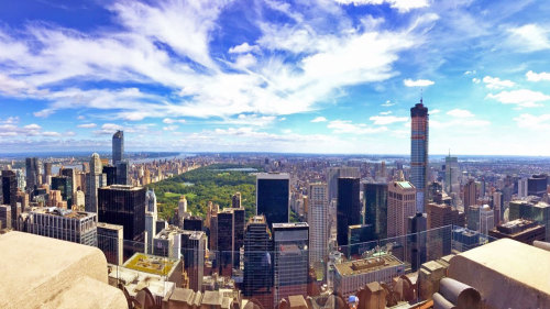 One Perfect Day in New York City Tour