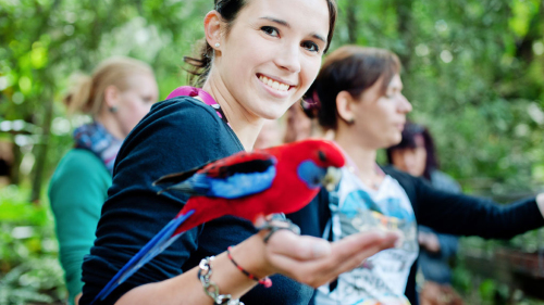 Springbrook Rainforest Bushwalk Tour by Bushwacker Eco Tours