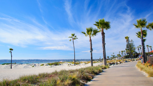 Coronado Island Bike Tour by Hike Bike Kayak San Diego