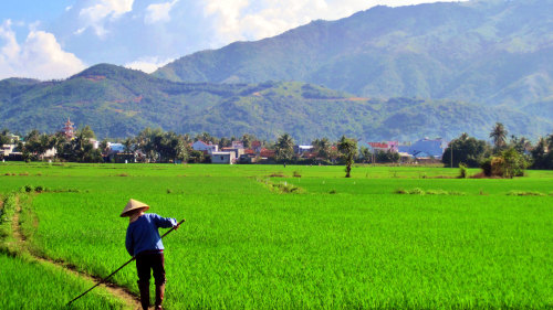 Private Countryside Tour with River Cruise & Lunch